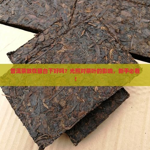普洱茶放在窗台下好吗
