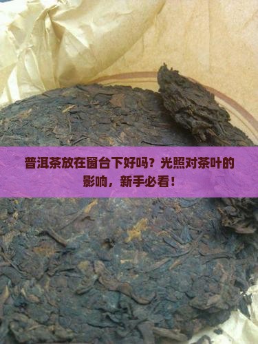 普洱茶放在窗台下好吗