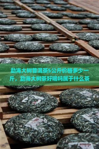 勐海大树普洱茶5公斤