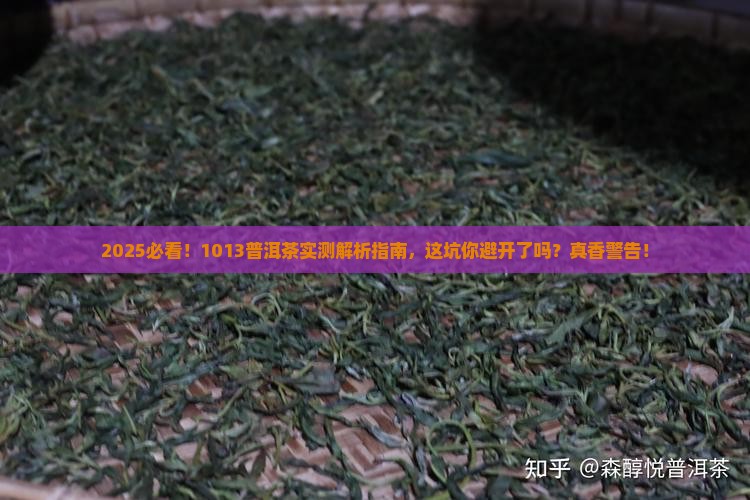 1013普洱茶