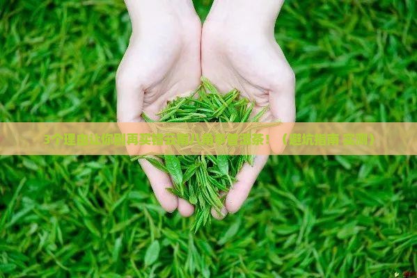云南八角亭普洱茶介绍