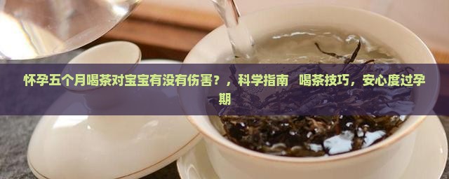 怀孕五个月喝茶对宝宝有没有伤害