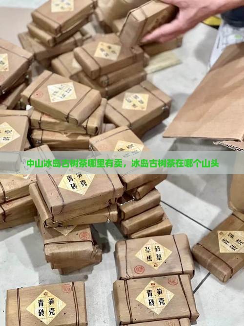 中山冰岛古树茶哪里有