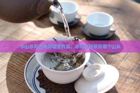 中山冰岛古树茶哪里有