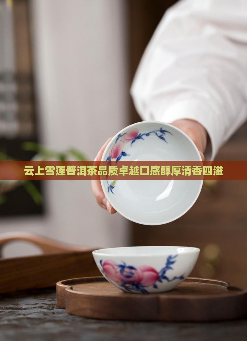 云上雪莲普洱茶