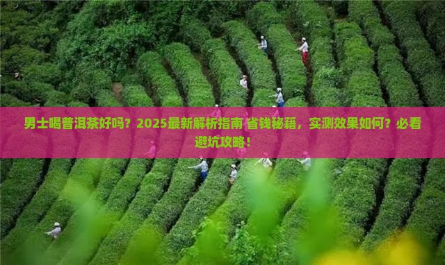 男士普洱茶好吗