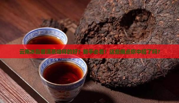 云南冰岛普洱茶啥样的好