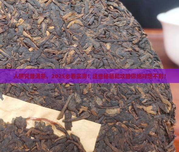 美国人研究普洱茶的目的