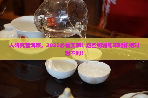 美国人研究普洱茶的目的