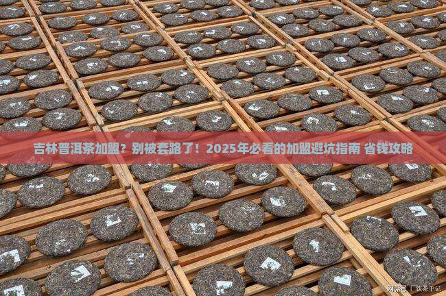 吉林普洱茶加盟公司