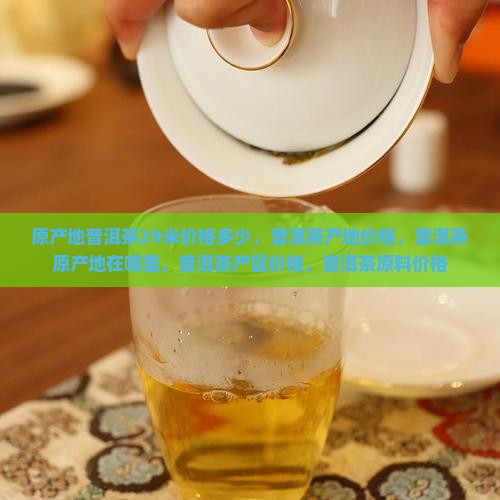 原产地普洱茶29米