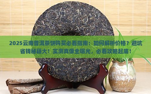 云南普洱茶饼购买价格指南