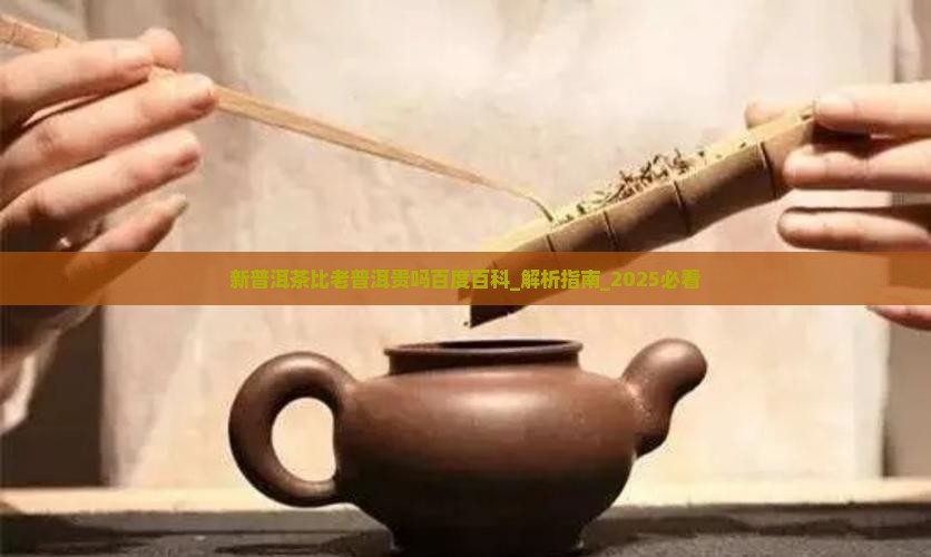 新普洱茶比老普洱贵吗百度百科