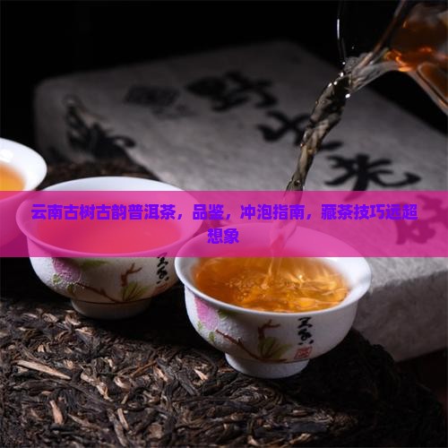 云南古树古韵普洱茶