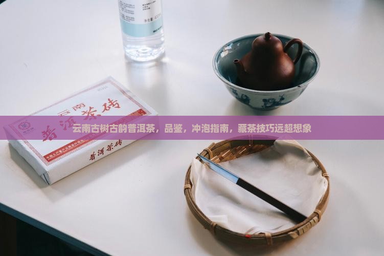云南古树古韵普洱茶