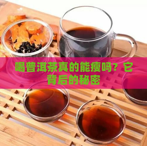 喝普洱茶真的能瘦吗？它背后的秘密