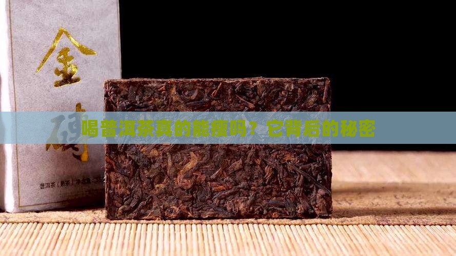 喝普洱茶真的能瘦吗？它背后的秘密