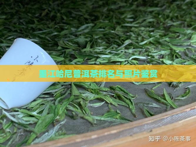 墨江哈尼普洱茶排名与照片鉴赏