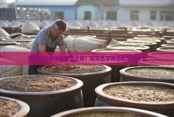 普洱茶名称中的普洱之意：探究名字背后的深厚含义