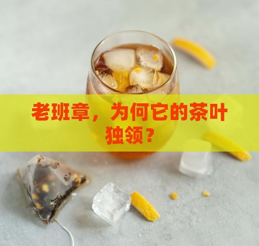 老班章，为何它的茶叶独领？