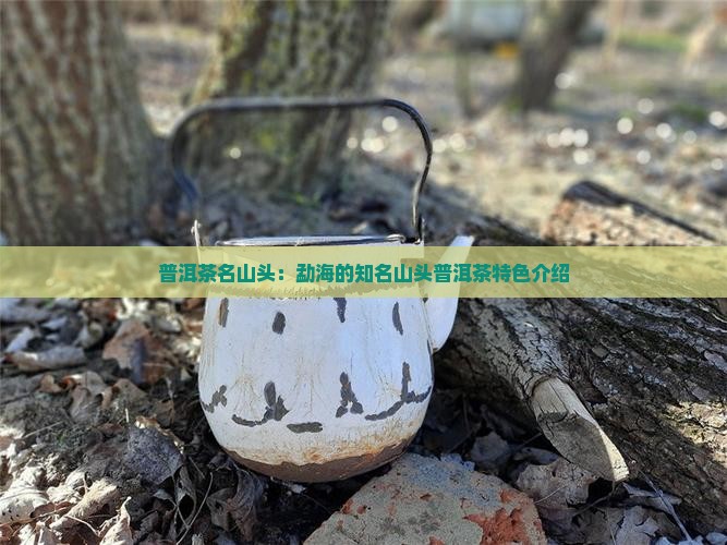 普洱茶名山头：勐海的知名山头普洱茶特色介绍