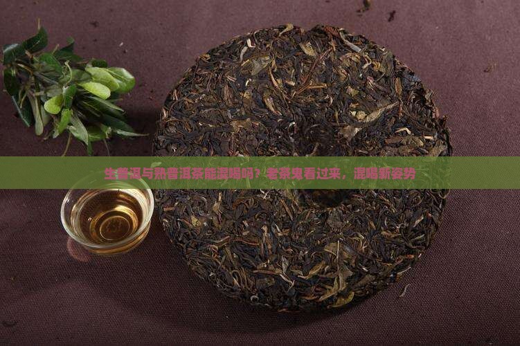 生普洱与熟普洱茶能混喝吗？老茶鬼看过来，混喝新姿势