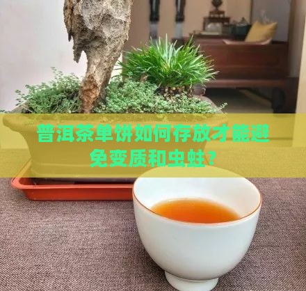 普洱茶单饼如何存放才能避免变质和虫蛀？