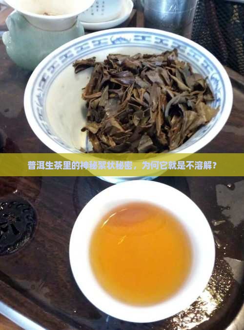 普洱生茶里的神秘絮状秘密，为何它就是不溶解？