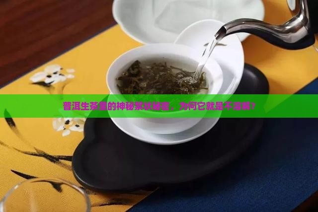 普洱生茶里的神秘絮状秘密，为何它就是不溶解？