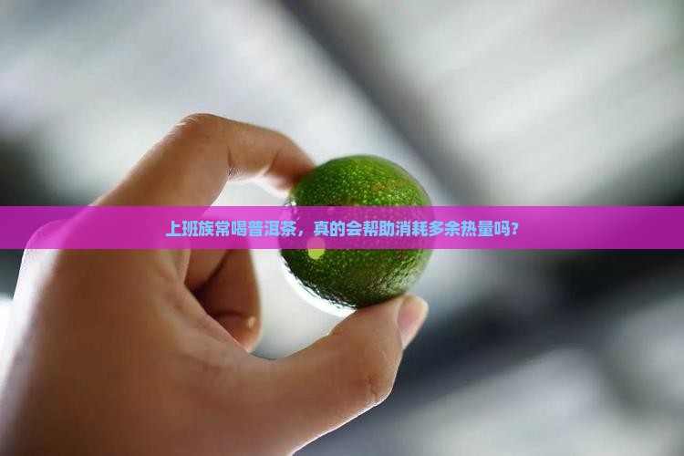 上班族常喝普洱茶，真的会帮助消耗多余热量吗？