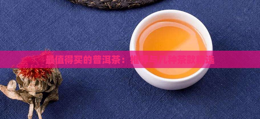 最值得买的普洱茶：推荐与几种茶款精选