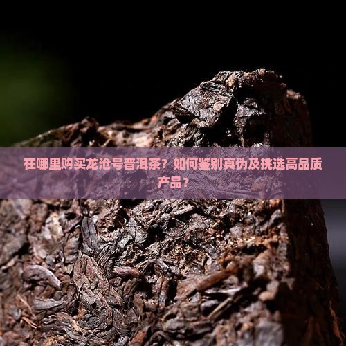 在哪里购买龙沧号普洱茶？如何鉴别真伪及挑选高品质产品？