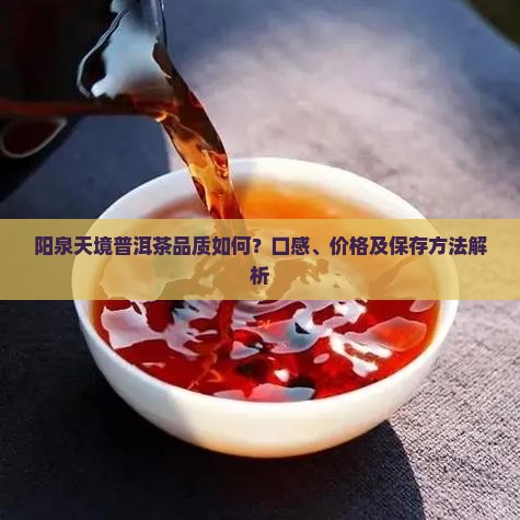 阳泉天境普洱茶品质如何？口感、价格及保存方法解析