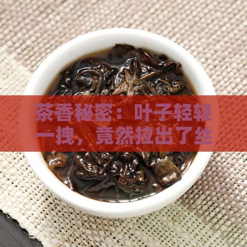 茶香秘密：叶子轻轻一拽，竟然拉出了丝？