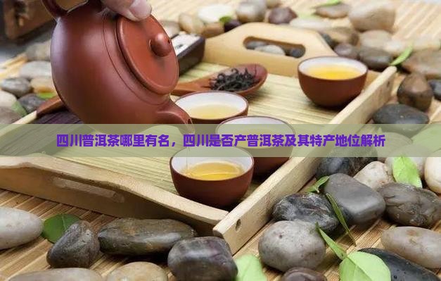 四川普洱茶哪里有名，四川是否产普洱茶及其特产地位解析