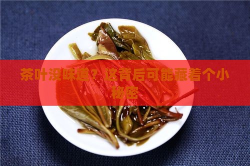茶叶没味道？这背后可能藏着个小秘密