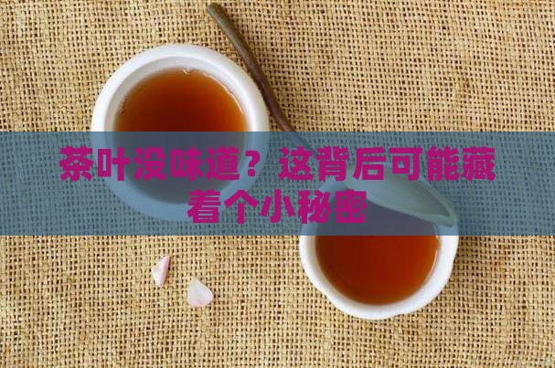 茶叶没味道？这背后可能藏着个小秘密