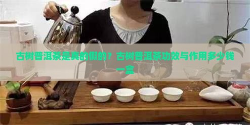 古树普洱茶是真的假的？古树普洱茶功效与作用多少钱一盒