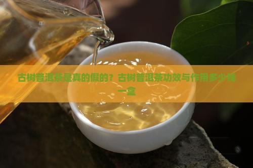 古树普洱茶是真的假的？古树普洱茶功效与作用多少钱一盒