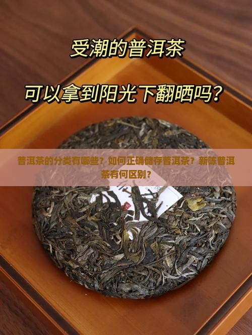 普洱茶的分类有哪些？如何正确储存普洱茶？新陈普洱茶有何区别？