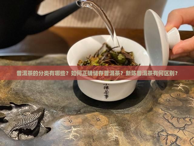 普洱茶的分类有哪些？如何正确储存普洱茶？新陈普洱茶有何区别？