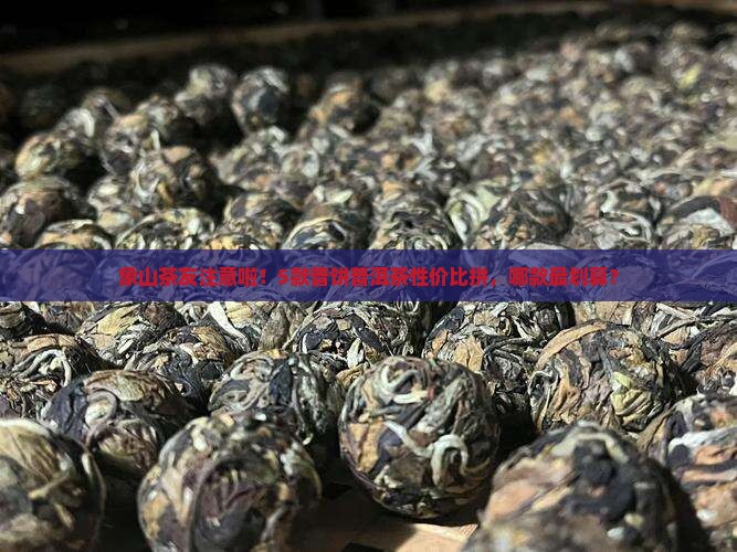 象山茶友注意啦！5款普饼普洱茶性价比拼，哪款最划算？