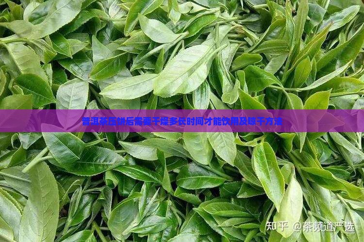 普洱茶压饼后需要干燥多长时间才能饮用及晾干方法