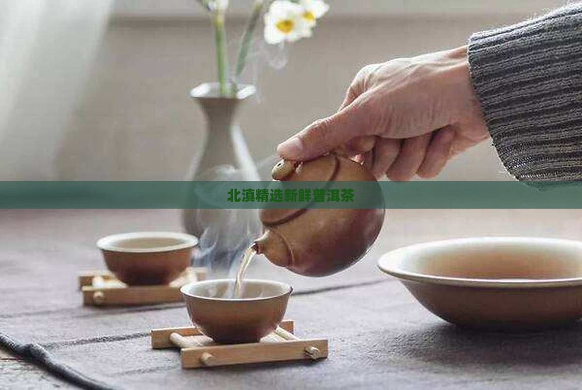 北滇精选新鲜普洱茶