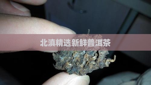 北滇精选新鲜普洱茶