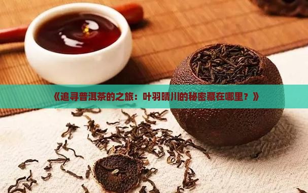 《追寻普洱茶的之旅：叶羽晴川的秘密藏在哪里？》