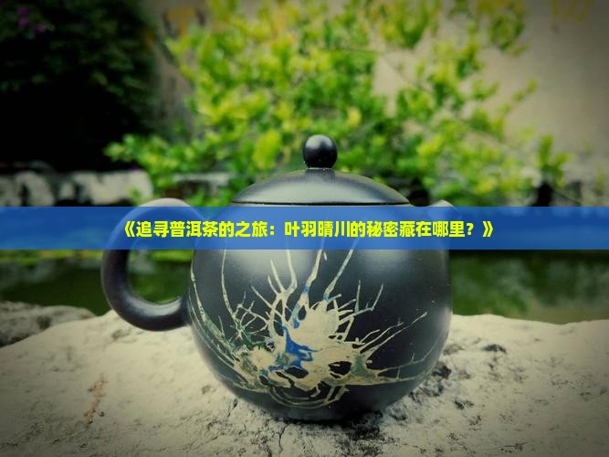 《追寻普洱茶的之旅：叶羽晴川的秘密藏在哪里？》