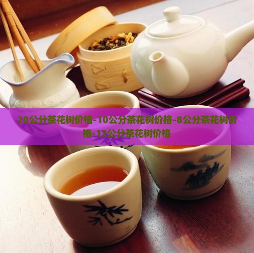 20公分茶花树价格-10公分茶花树价格-8公分茶花树价格-12公分茶花树价格