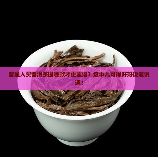 普通人买普洱茶囤哪款才更靠谱?这事儿可得好好说道说道! 普通人买普洱茶囤哪款才更靠谱?这事儿可得好好说道说道!