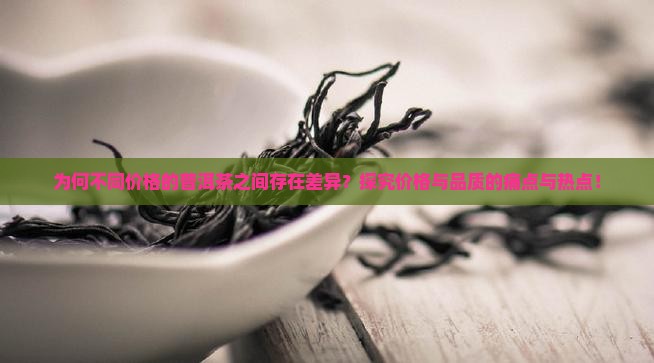 为何不同价格的普洱茶之间存在差异？探究价格与品质的痛点与热点！